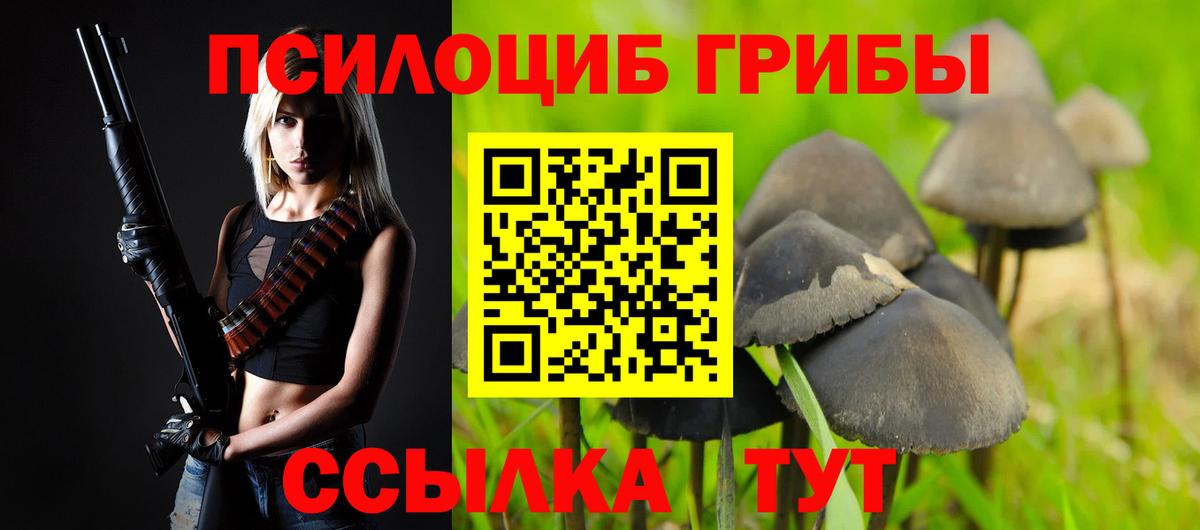 Псилоцибиновые грибы Psilocybe  Вход с VPN  Псилоцибиновые грибы Psilocybe  Красноярск 